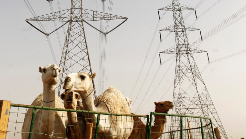 Saudi-Arabien und die Atmokraftwerk-Pläne