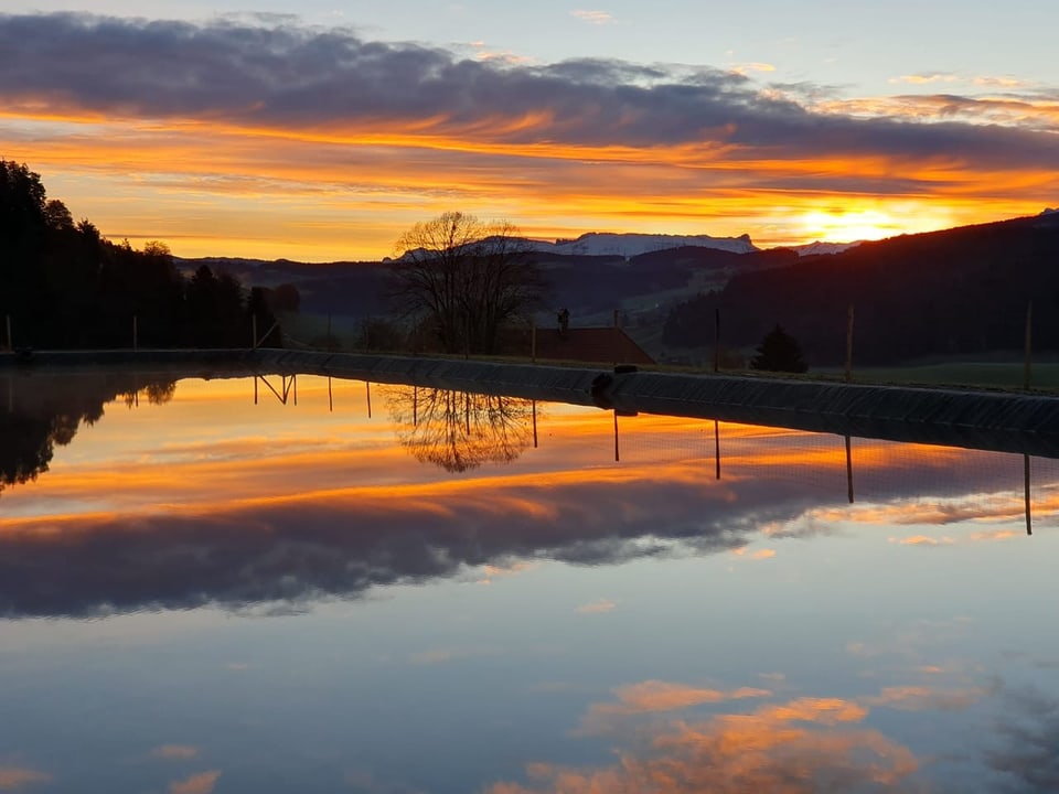 Morgenrot, im Hintergrund die Schrattenfluh 