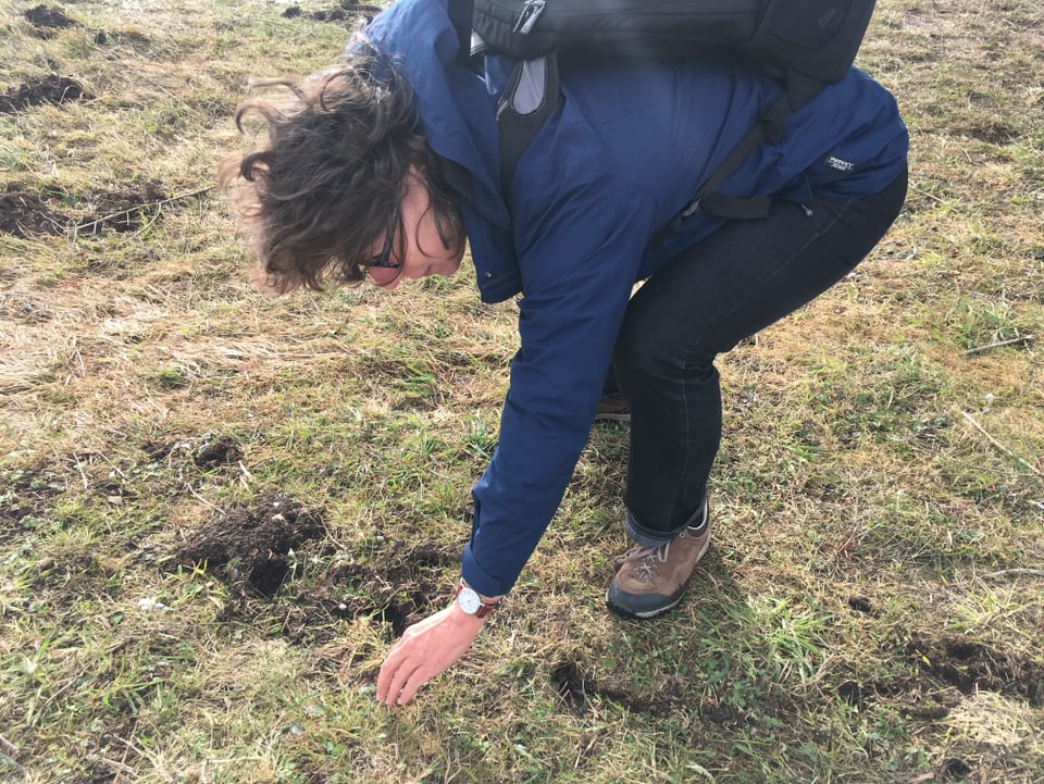 Dr. Daniela Pauli macht auf die Artenvielfalt in einer Wiese aufmerksam.