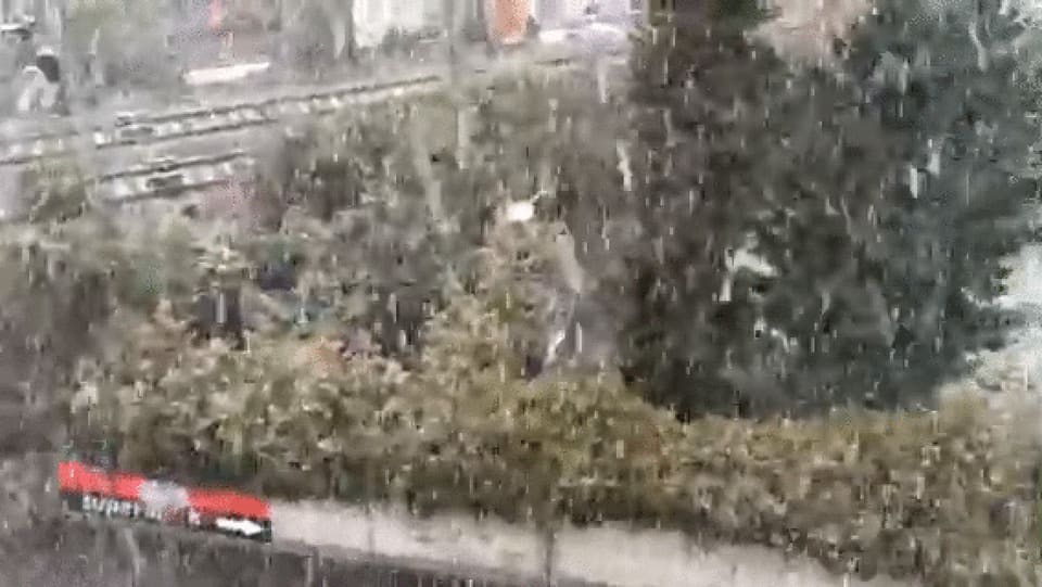 Ein Video des starken Schneefalls.