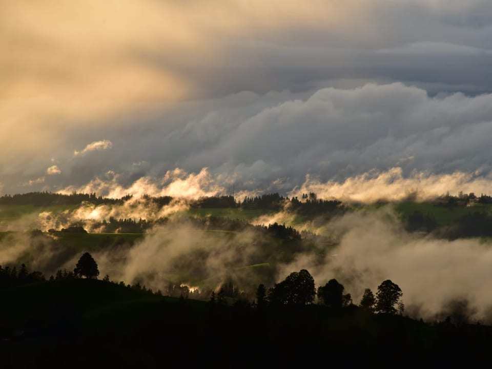 Abendstimmung in Rämis