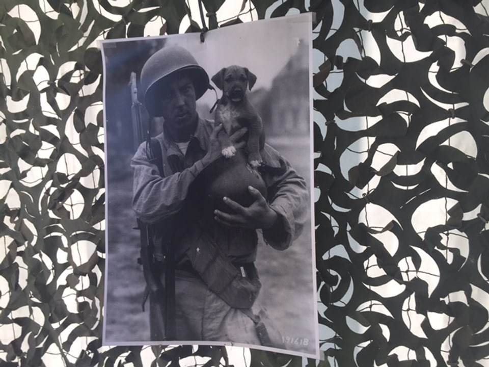 Soldat und Hund