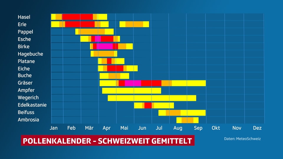 Pollen-Allergie - Gräserpollen haben Hochsaison - Meteo - SRF