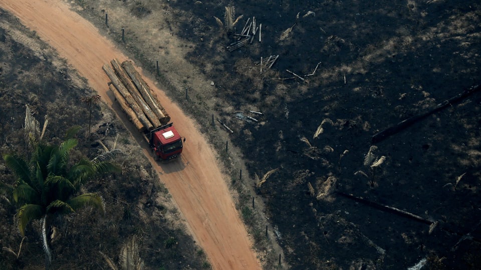 Lastwagen mit Holz im Amazonas