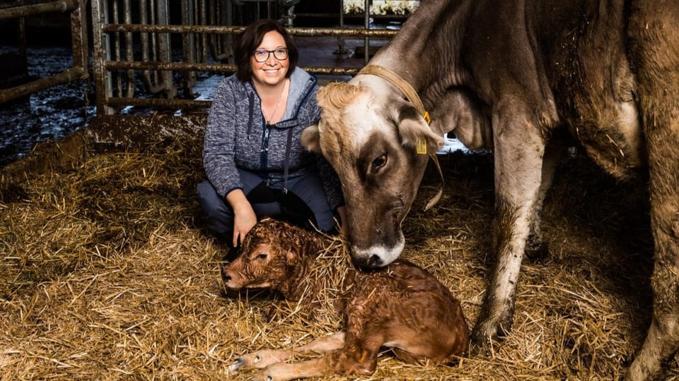 Landfrau Cathrin Iten im Stall bei einem frisch geborenen Kalb und der Mutterkuh.