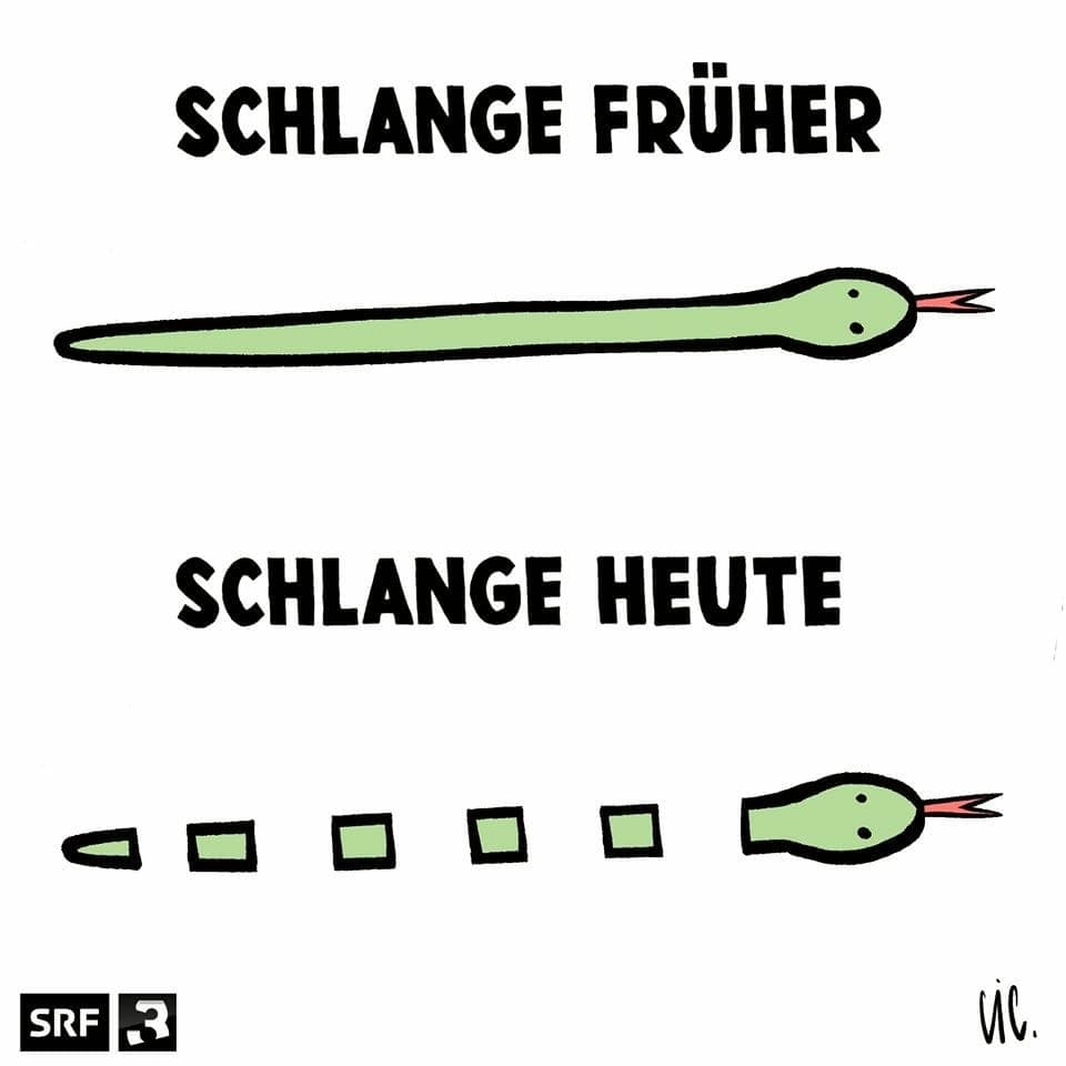 SRF 3-Cartoon