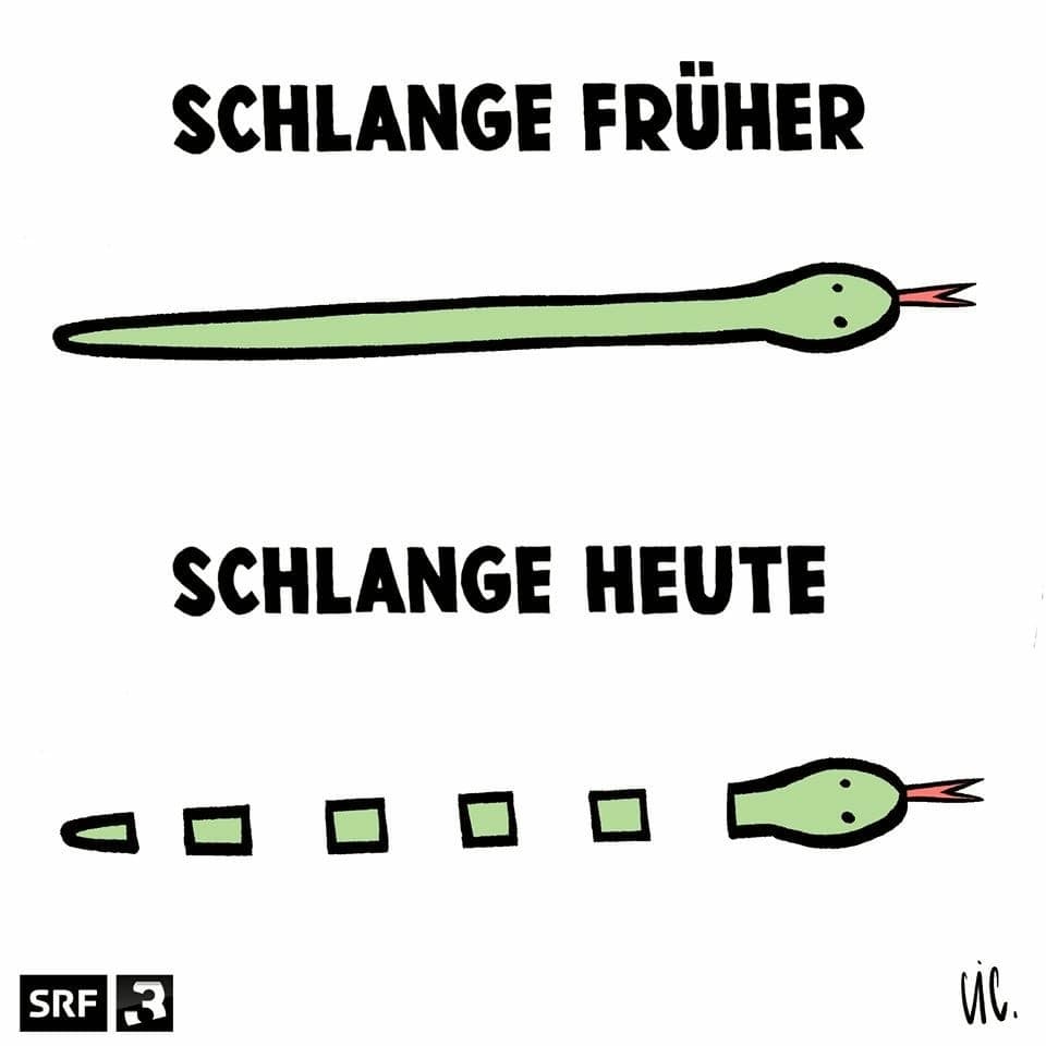 SRF 3-Cartoon 