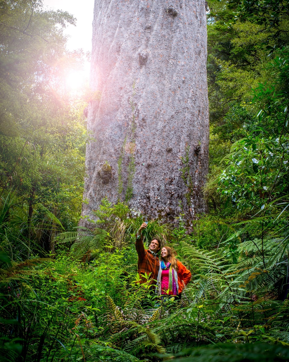 Ein Mann und eine Frau machen ein Selfie vor einem grossen Baum.