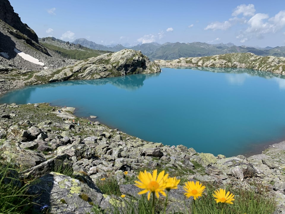 Blick auf einen Bergsee mit Blumen im Vordergrund.