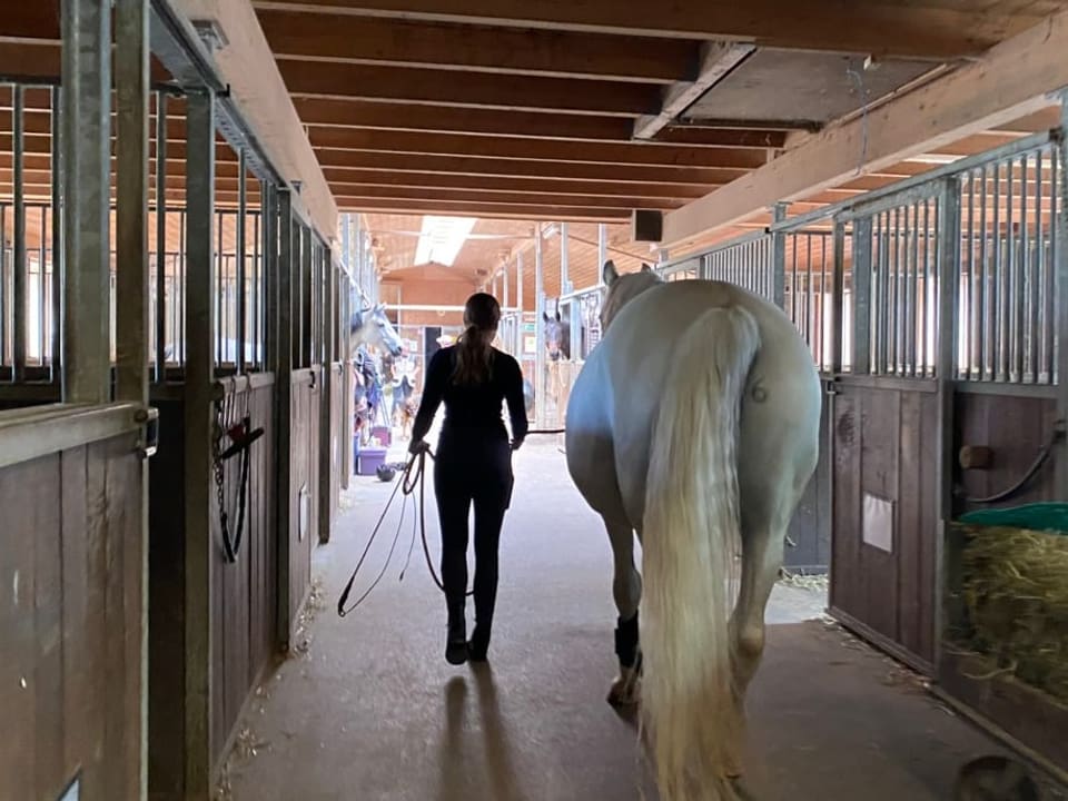Das Mädchen und das Pferd sind von hinten zu sehen. Sie laufen entlang den Boxen im Stall.