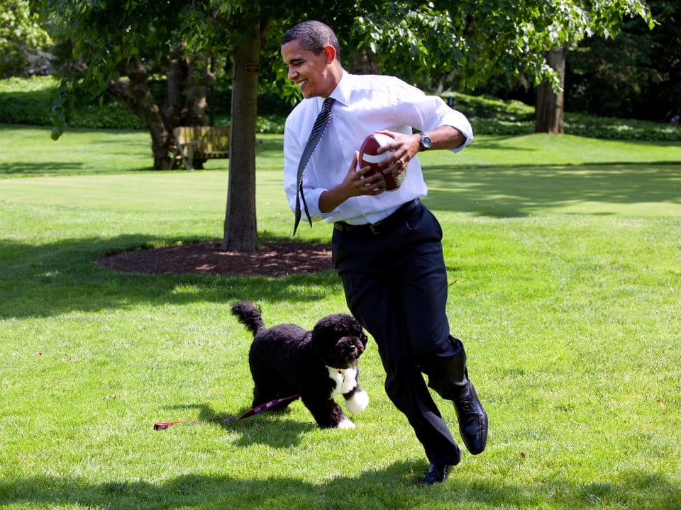 Obama hält einen Baseball in der Hand und spielt mit seinem Hund im Garten.