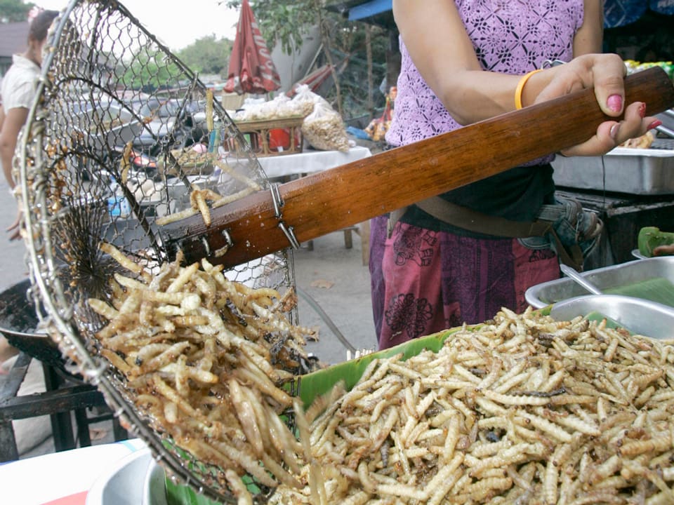 Bambuswürmer auf einem Markt in Thailand werden häufig gekauft.