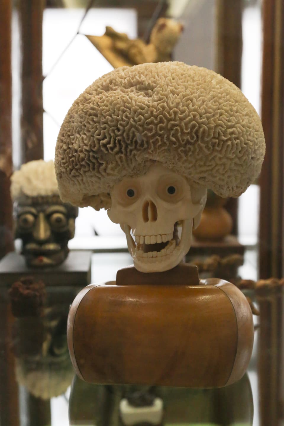 Ein Objekt, bestehend aus einem Totenschädels mit Pupillen, auf seinem Kopf eine Muschel, die wie eine Perücke aussieht. 