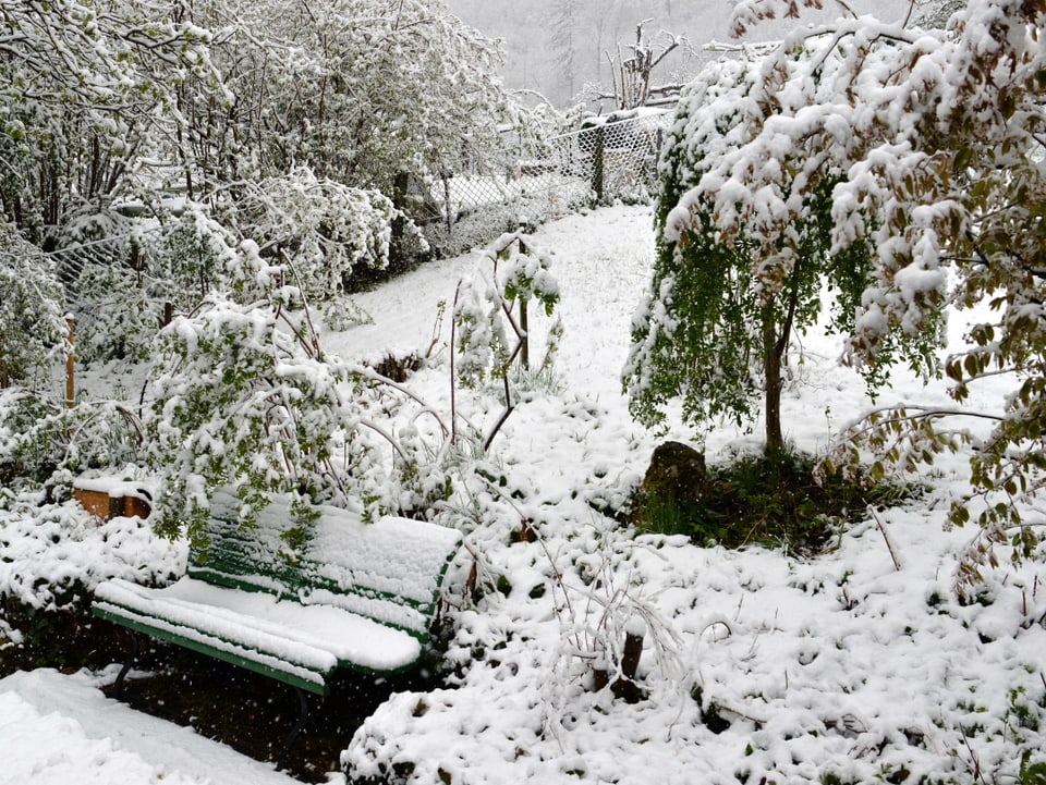Im Garten des Fotografen liegen rund 5 Zentimeter Neuschnee.