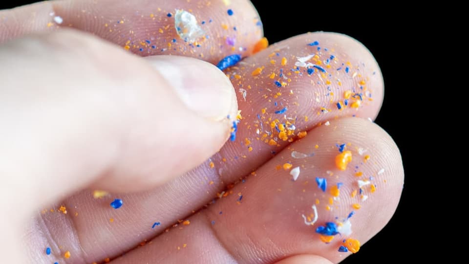 Feiner Mikroplastik in blauen und orangenen Farben liegen auf den Fingern einer Hand. 