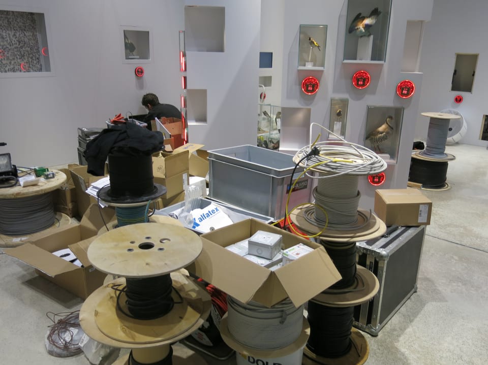 Kabelrollen und Werkzeuge liegen am Boden der neuen Ausstellung in der Vogelwarte Sempach. 