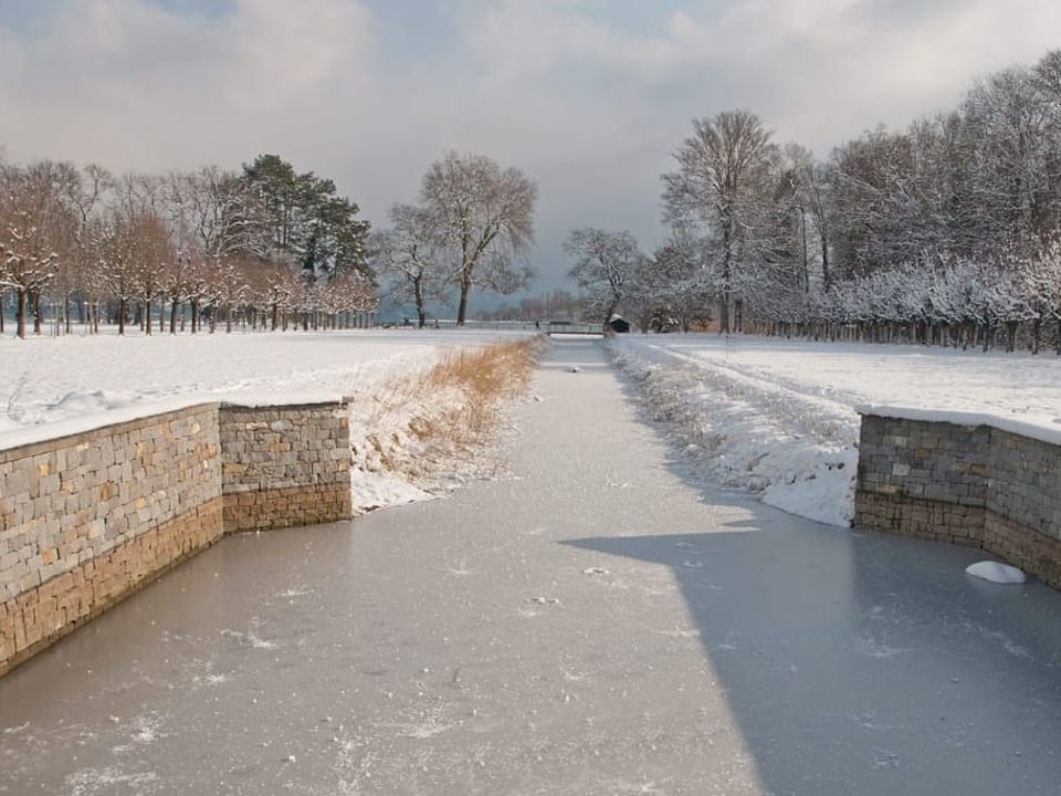 Thun im Bonsttenpark/BE Aufgenommen im Bonsttenpark in Thun bei Eisiger Kälte.