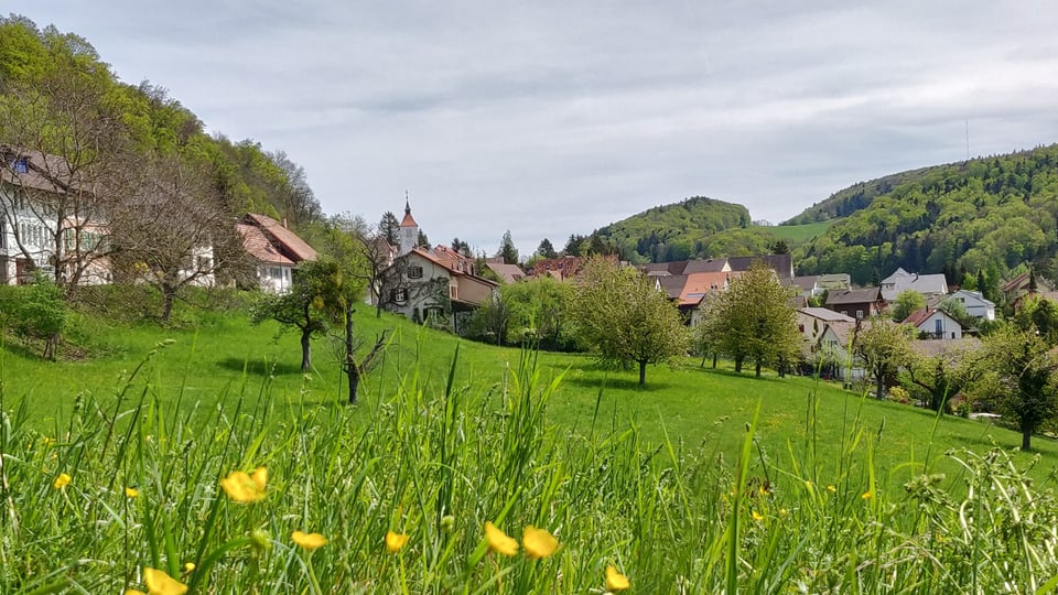 Grüne Landschaft im Schwarzbubenland