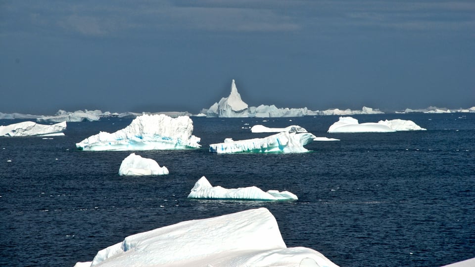 Eisberge in verschiedensten Formen auf dunkelblauem Wasser.