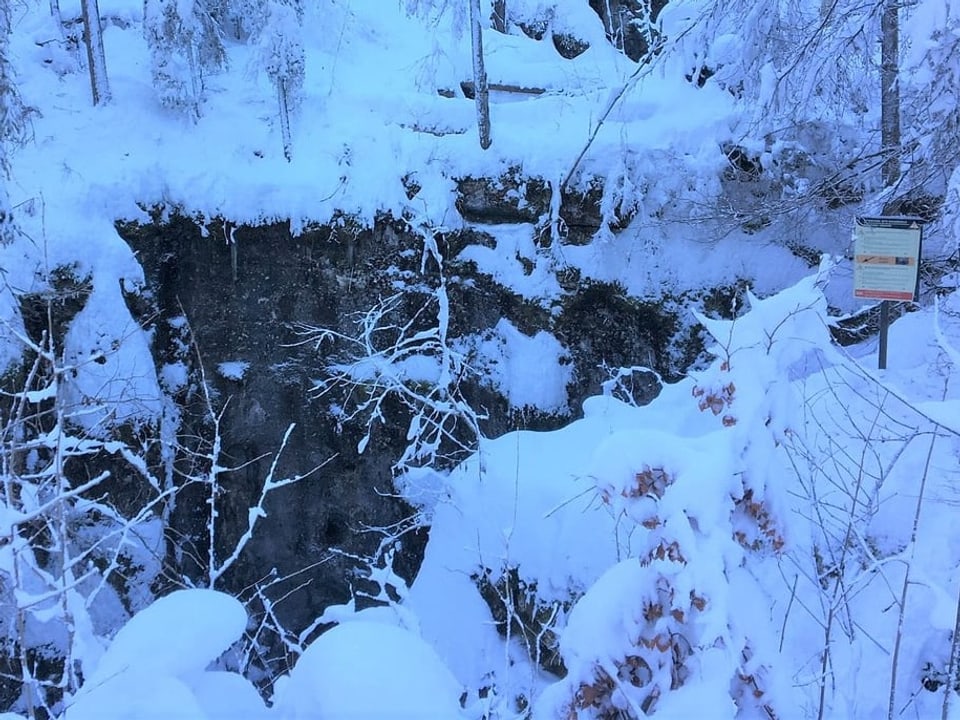 Verschneites Waldstück mit einer Öffnung. 