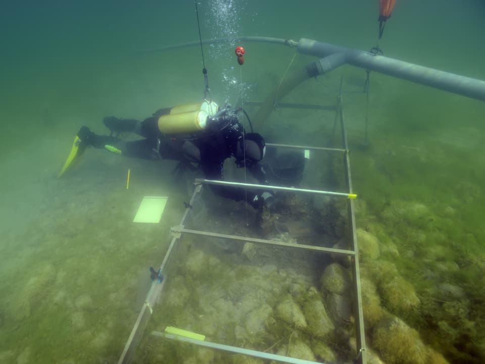 Taucher arbeitet bei archäologischer Fundstelle unter Wasser