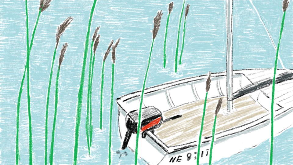 Zeichnung von einem Boot im Schilf.