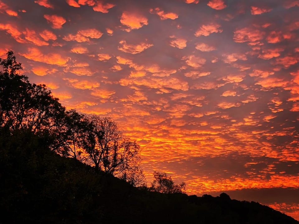Münsingen BE Abendrot.
