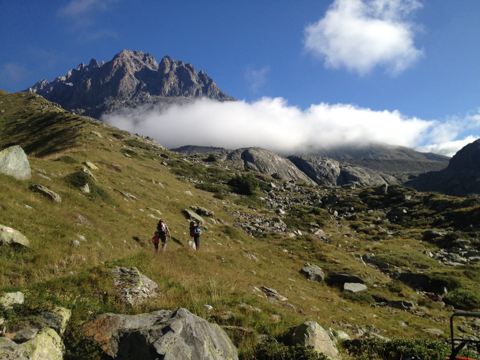 Alpine Landschaft.