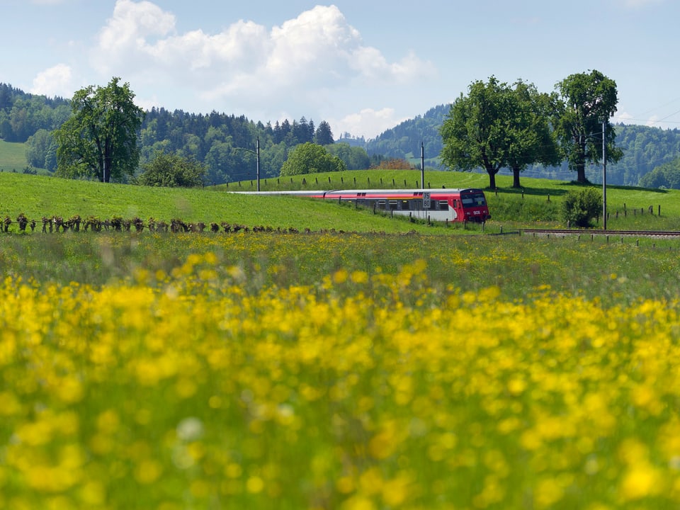 Eine Zugkomposition der Schweizerischen Südostbahn (SOB) in der Landschaft vor Herisau. Die SOB unterhält ein Streckennetz von 123 km Länge. (keystone)