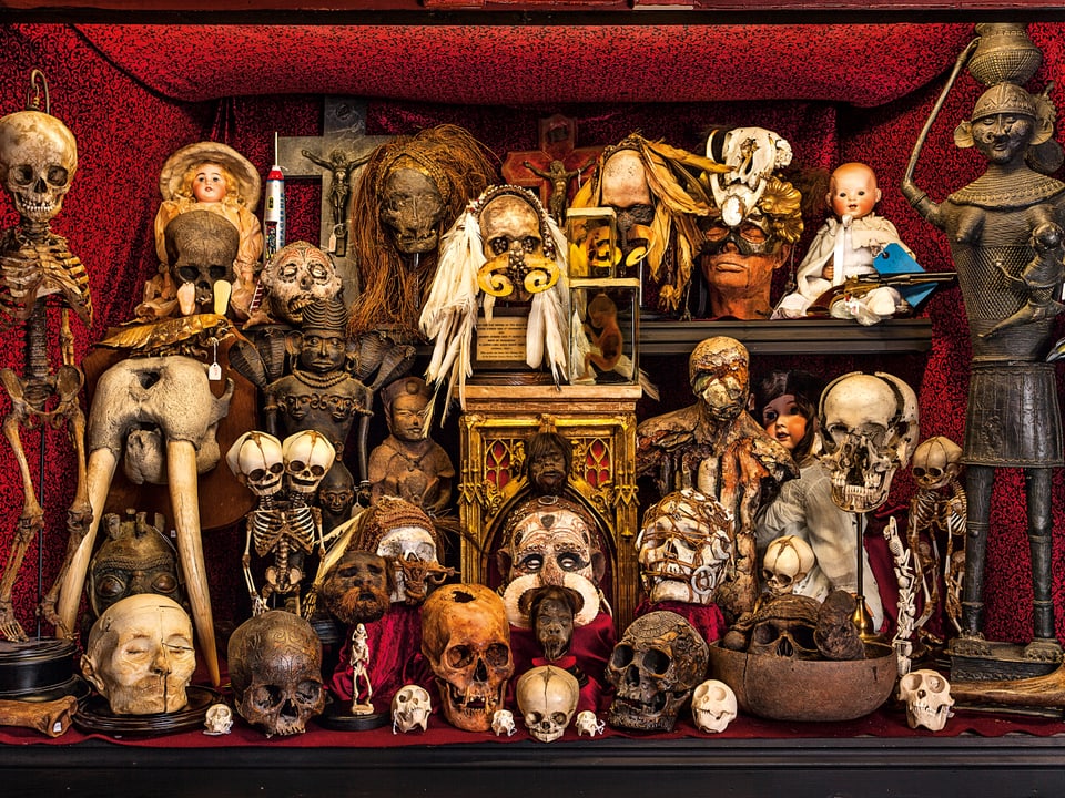 Neben Köpfen aller Art ist das Skelett eines zweiköpfigen Wesens, verschiedener Puppen und weiteres mehr zu sehen.