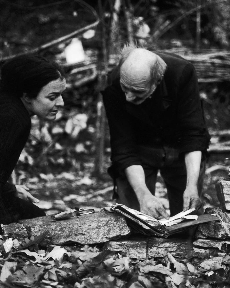 Schwarzweissbild: Mann und Frau in einem Wald, er zeigt ihr etwas in einem Buch