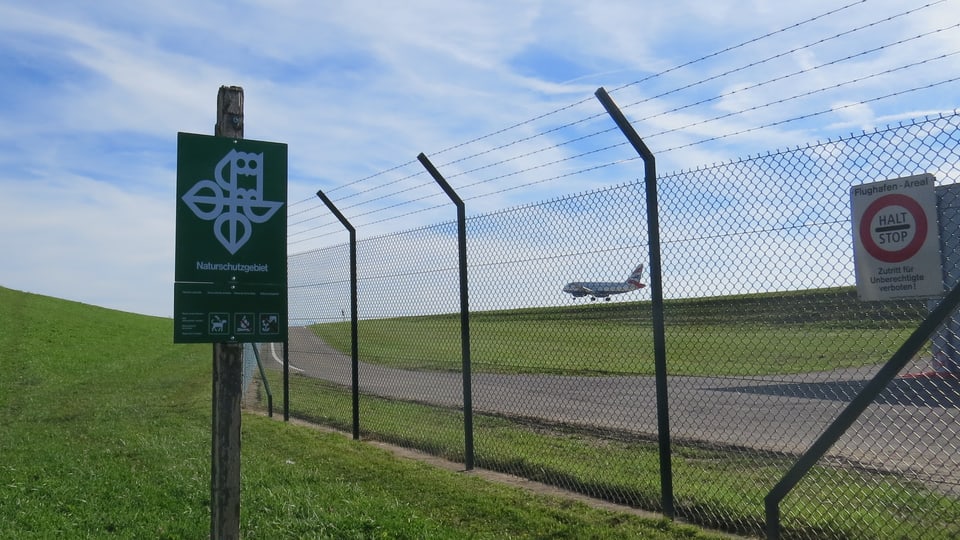 Naturschutzgebiet neben Flughafengelände