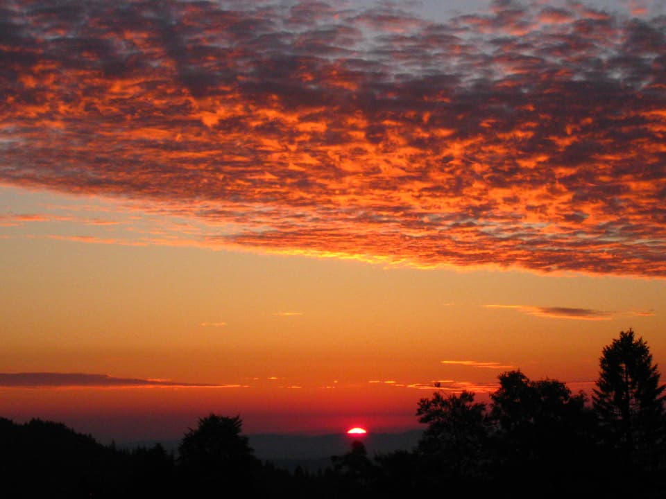 Am unteren Bildrand in schwarz Konturen von Bäumen. Am Horizont ist die Sonnenscheibe knapp zu sehen. Der Himmel ist orange, rot und pink. Am oberen Bildrand sind angeleuchtete Wolken zu sehen. 