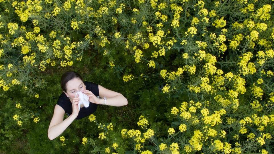 Eine Frau steht auf einem Rapsfeld und schnäuzt sich die Nase.