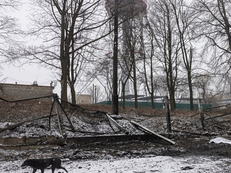 Ein Hund geht am zerstörten Gelände beim Kiewer Fernsehturm vorbei.