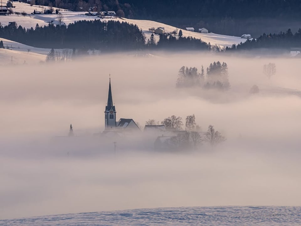 Stein / AR Nebel