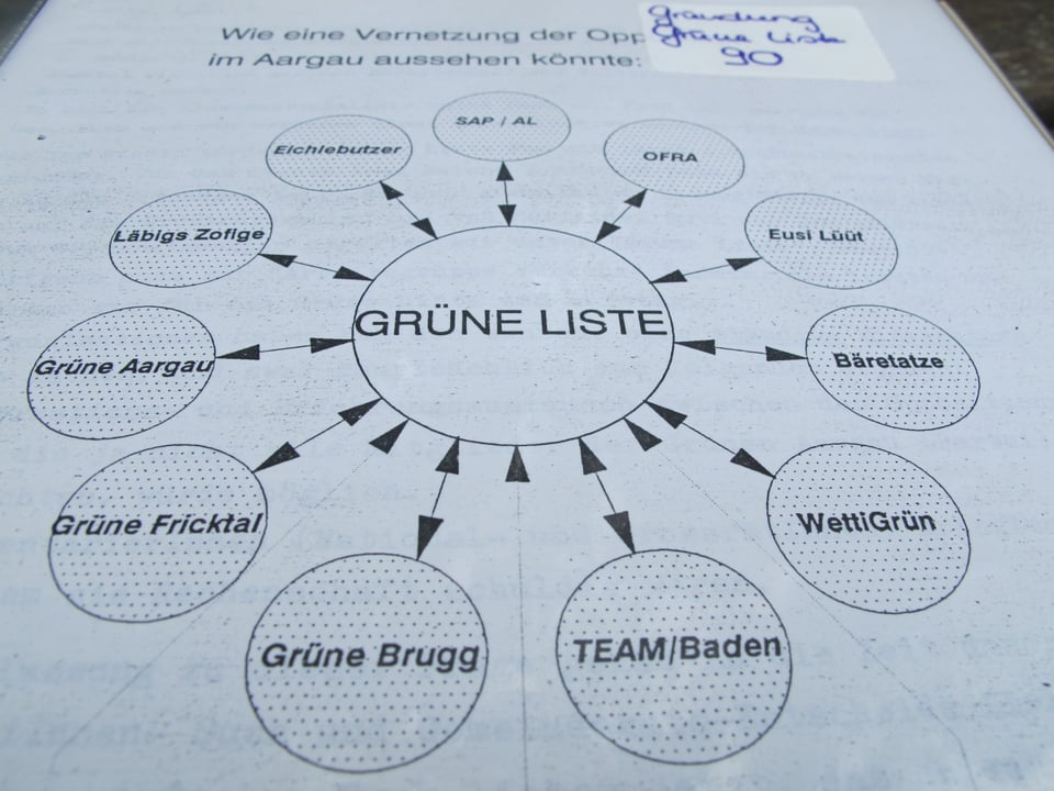Internes Papier der Grünen Aargau von 1990.