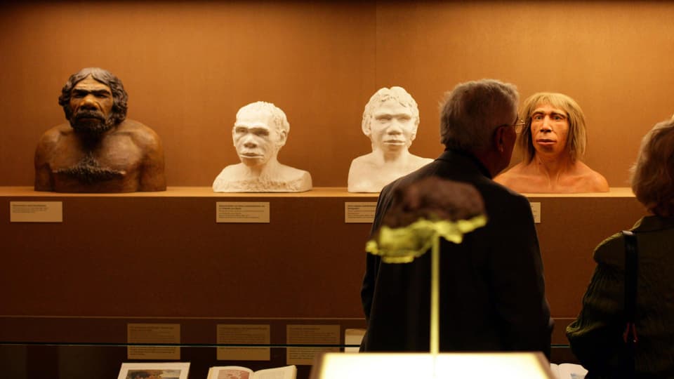 Besucher einer Ausstellung betrachten Büsten der Vorfahren des Homo sapiens.