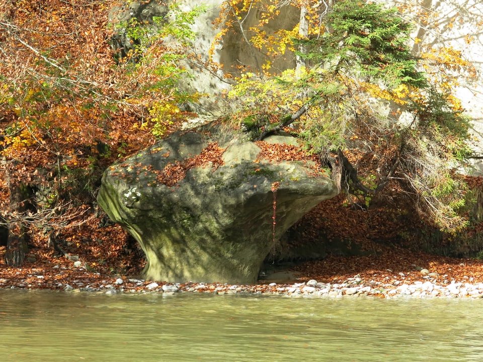 Ein Fels im Fluss, dahinter Bäume.