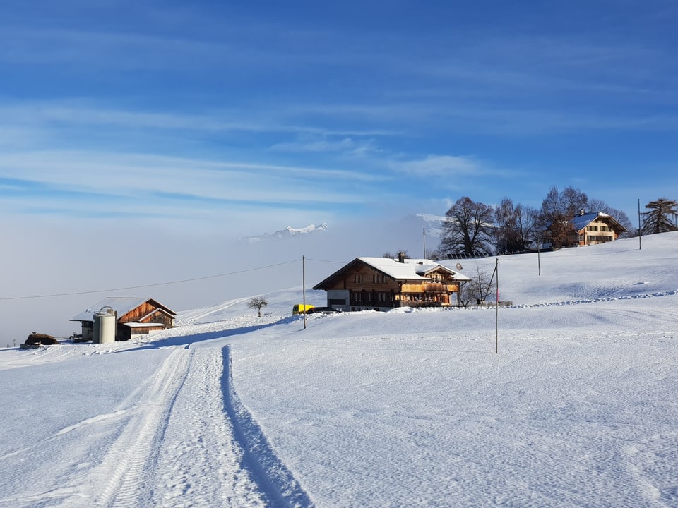 Eine schneebedeckt Strasse führt zu einem Gehöft, im Hintergrund Nebelschwaden, eine Bergspitze ragt hervor, es ist sonnig.