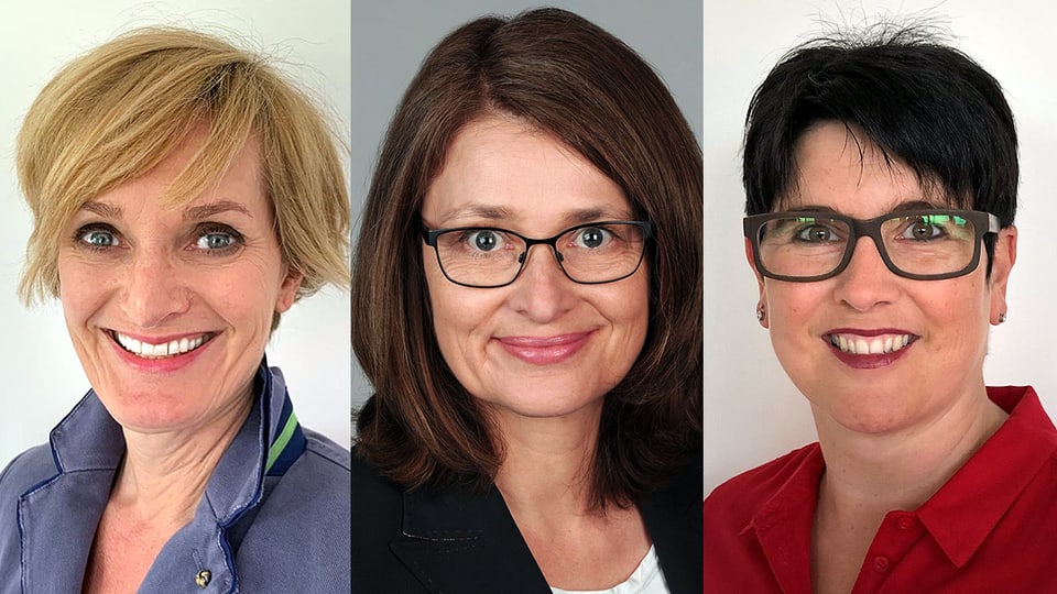 Portraits der Experten