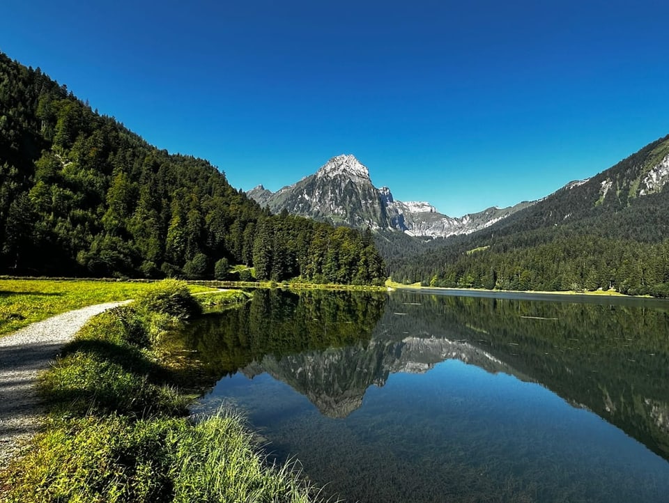 Blick auf Bergseeli. Darin ist die Landschaft gespiegelt.