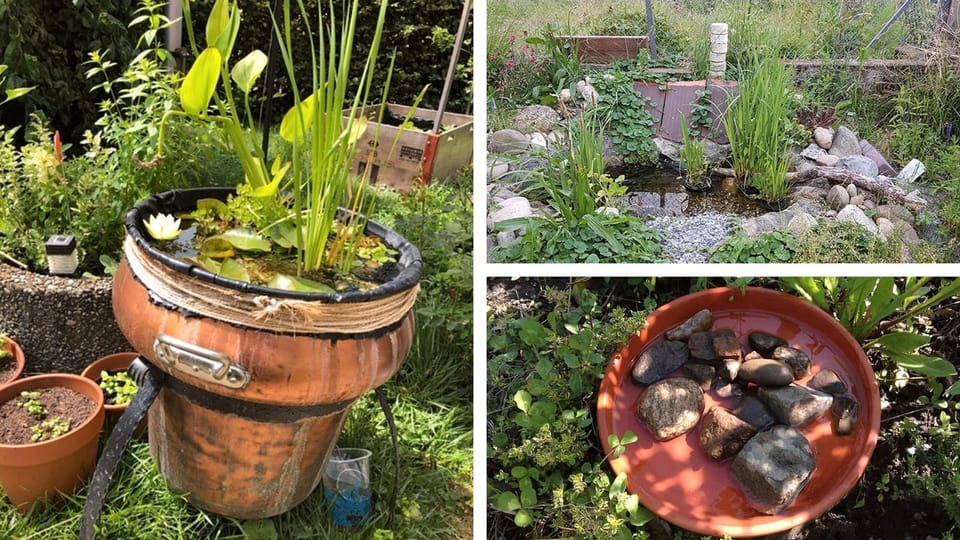 Wasserstelle Im Garten