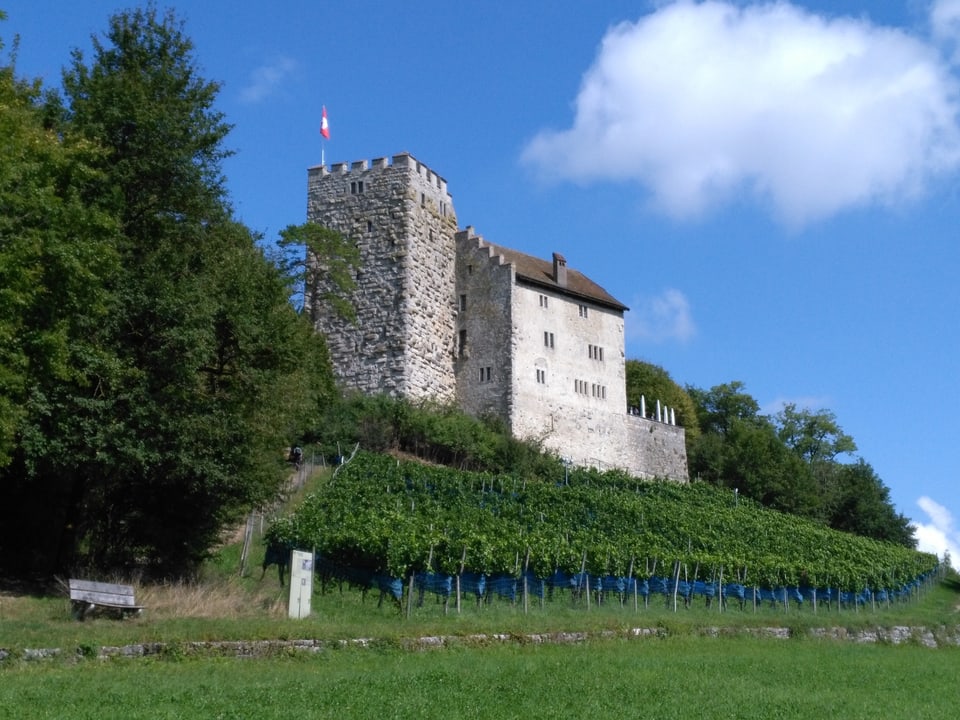 Blick auf Schloss Habsburg
