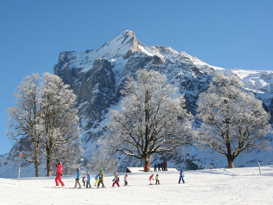 Skischule vor Bergkulisse.