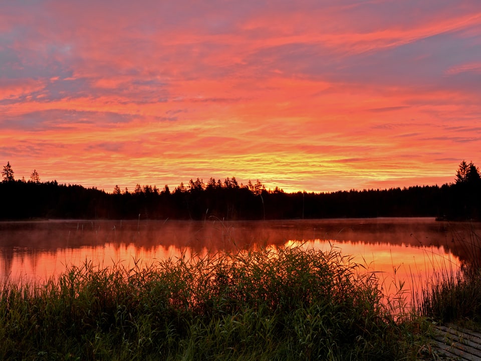 Das Morgenrot des Himmels spiegelt sich im See. 