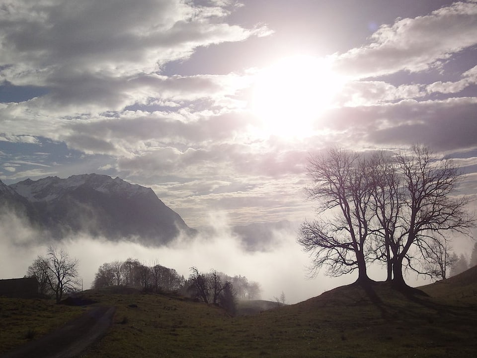 Nebelschwaden über dem Rheintal. Darüber ein Gemisch aus grau und blau. 