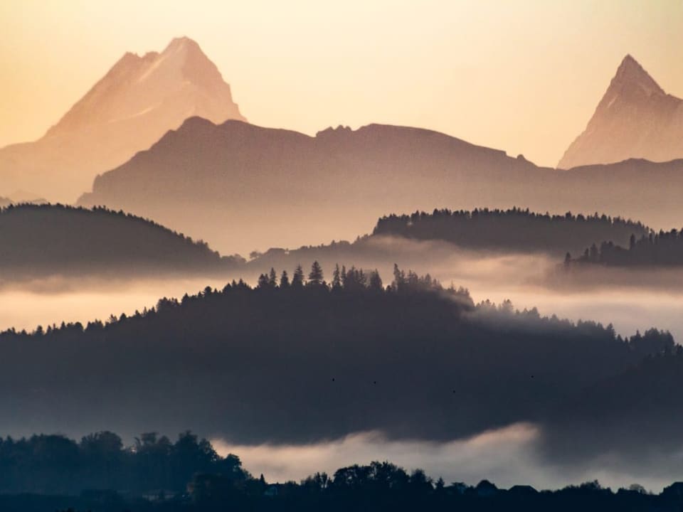 Blick auf Berge im gelblichen Licht mit Nebelschwaden