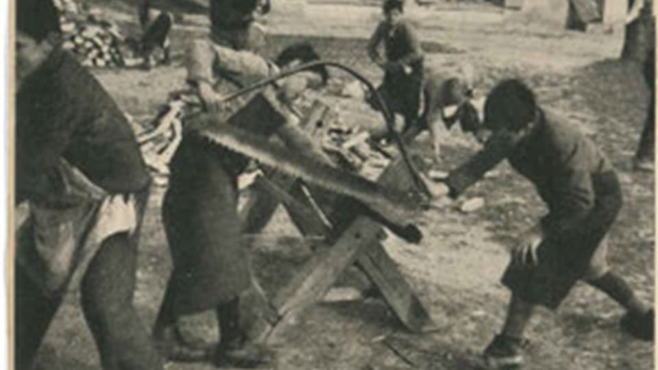 Archivbild mit Kindern am Holzsägen und -stapeln.