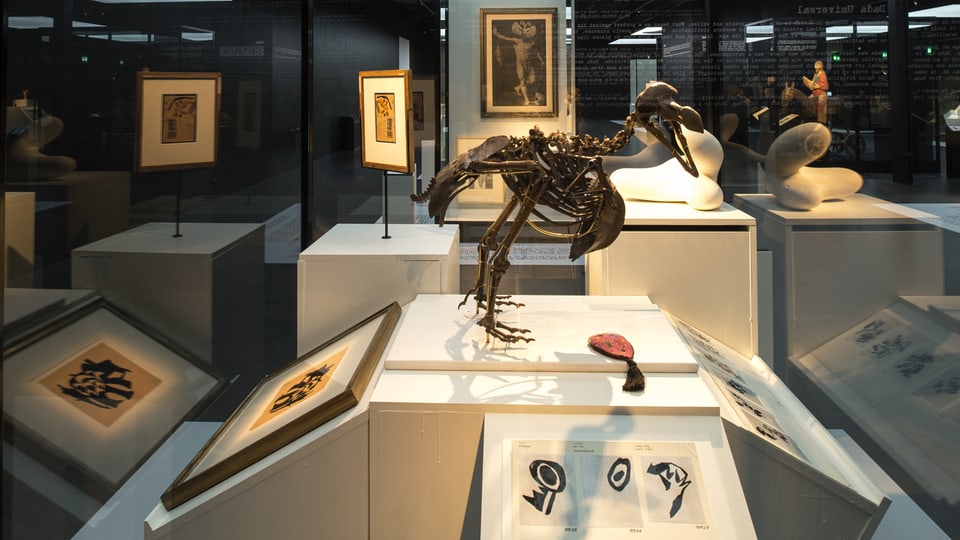 Ein Vogel in einer Vitrine neben anderen Ausstellungsexponaten